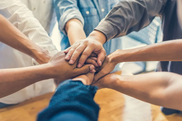 People, Partnerships and Policy: Understanding Key Relationships in the Medical and Allied Sector